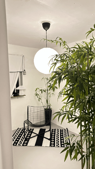 Monotone corner with a black wire chair