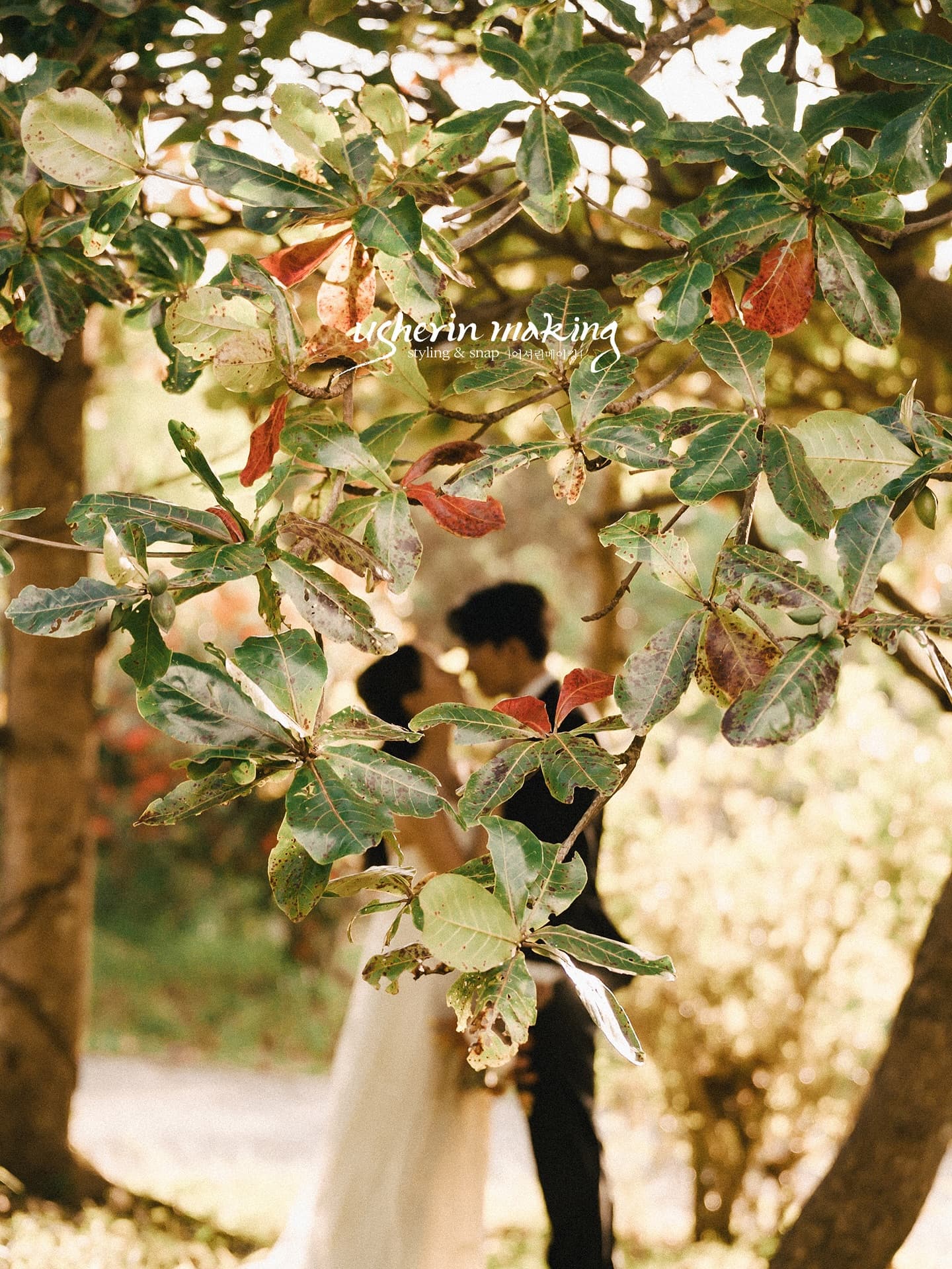 Couple glimpsed through leafy branches in warm light on an Okinawa garden shoot