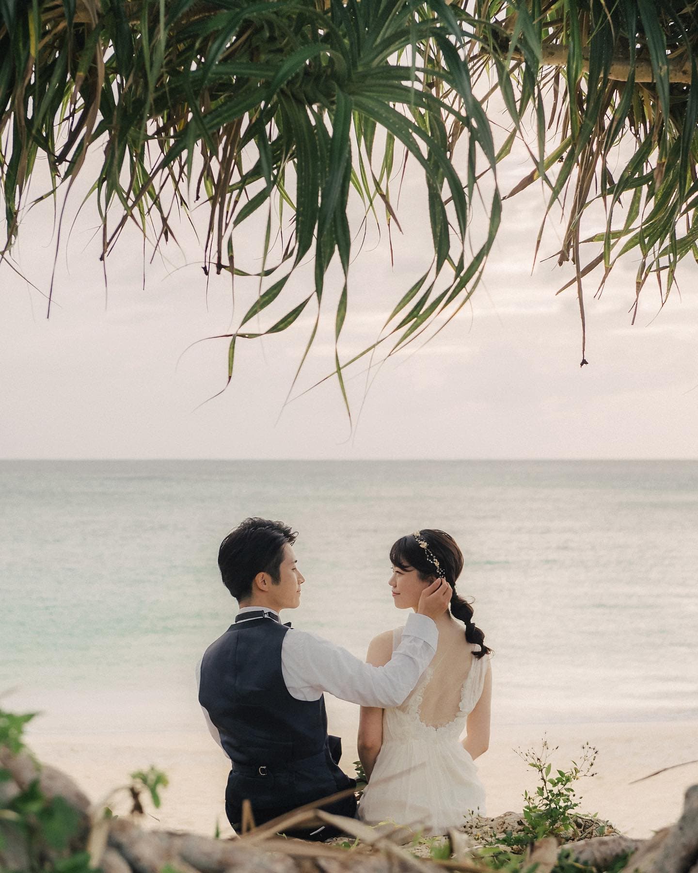 沖縄の浜辺、垂れる緑の葉陰の下で見つめ合う新郎新婦