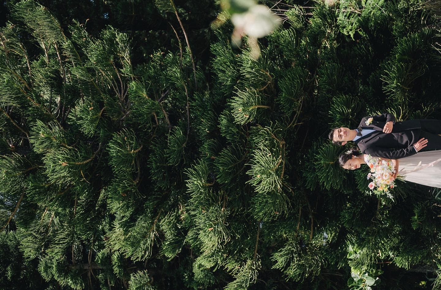 Bride and groom nestled against deep green conifers in Okinawa
