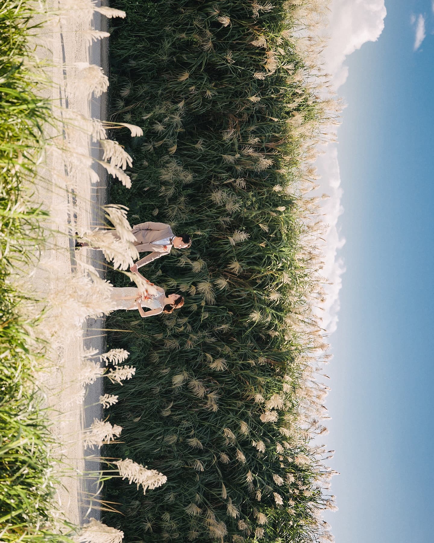 Bride and groom walking through a pampas grass field under a blue Okinawa sky