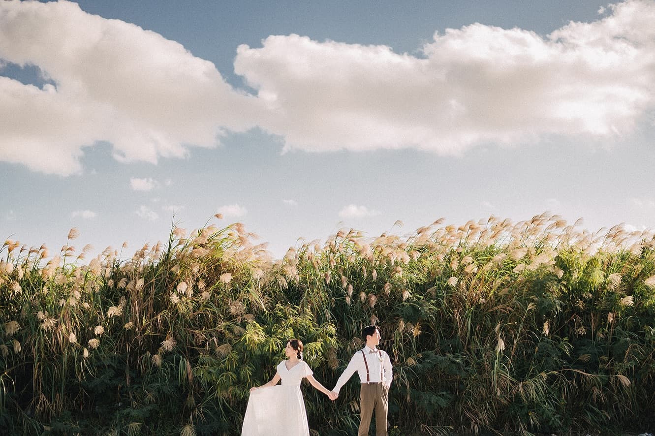 Couple holding hands and gazing apart in a pampas grass field in Okinawa