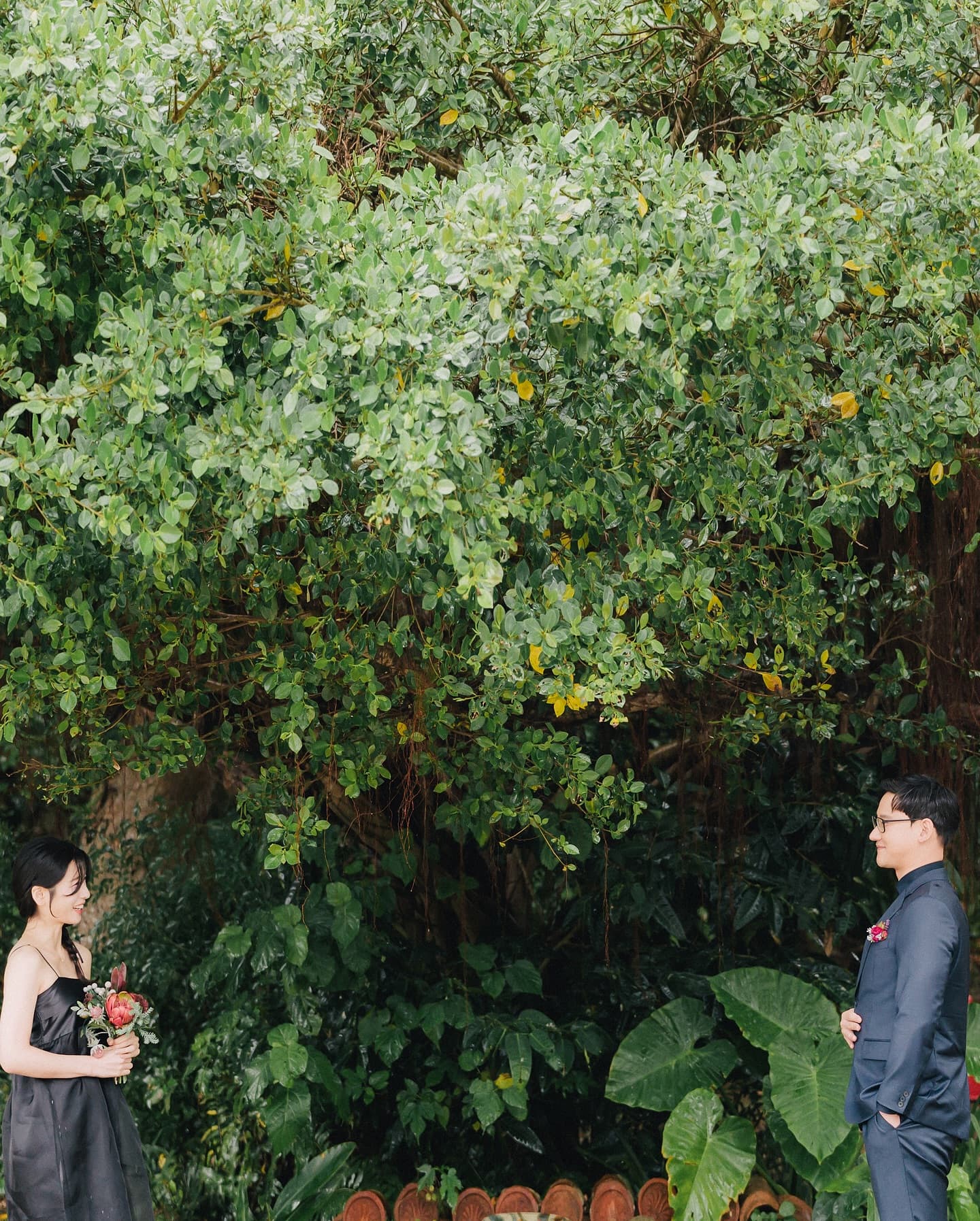 Couple facing each other beneath a sprawling green tree in Okinawa