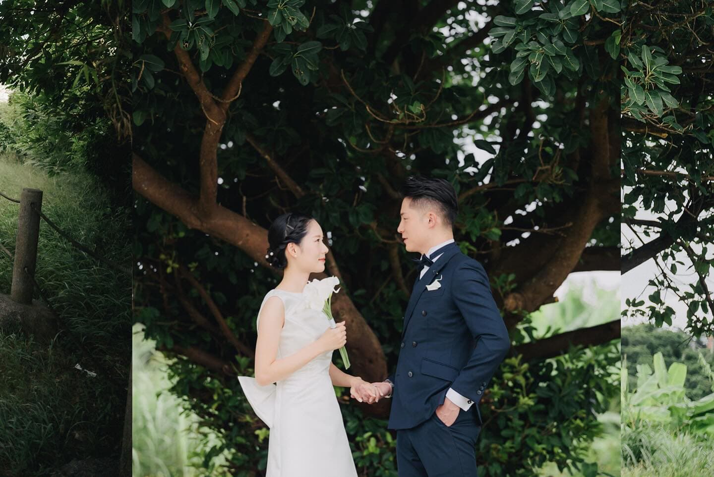 A couple holds hands under a leafy tree, the groom in a navy suit, Okinawa