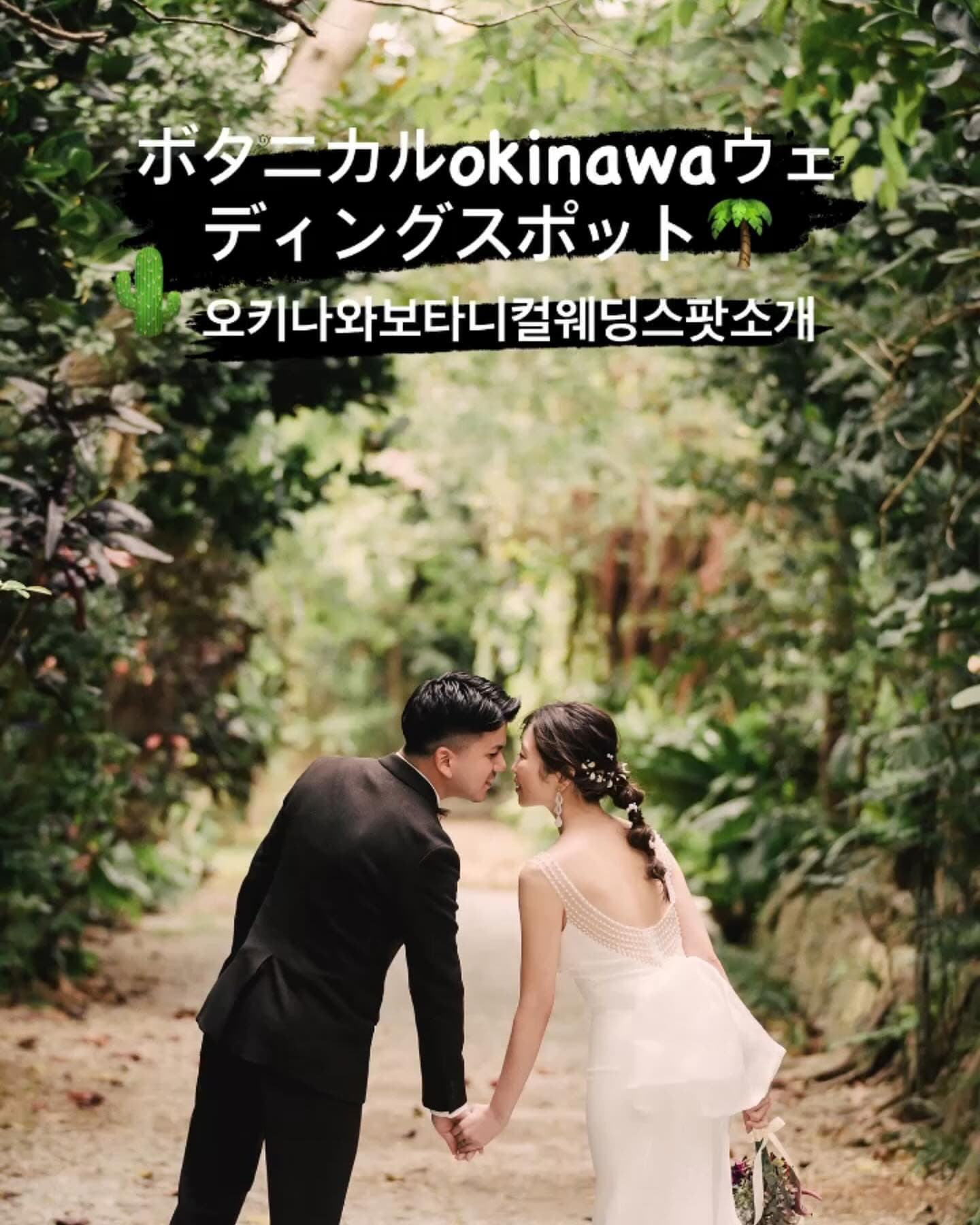 초록 터널 같은 숲길에서 입 맞추는 신랑 신부, 오키나와