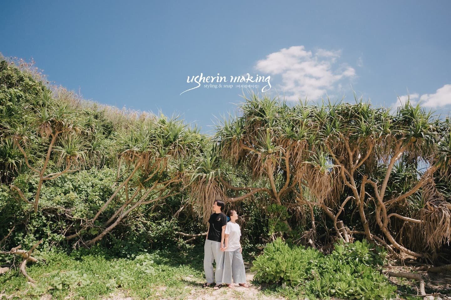 A couple stands before a pandanus grove under a wide blue Okinawa sky