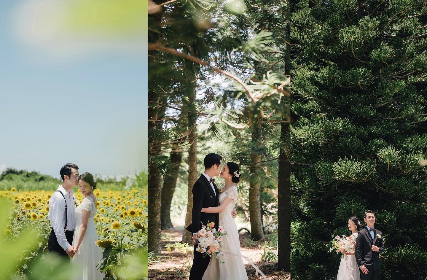 Collage of a couple in a sunflower field and pine grove in Okinawa