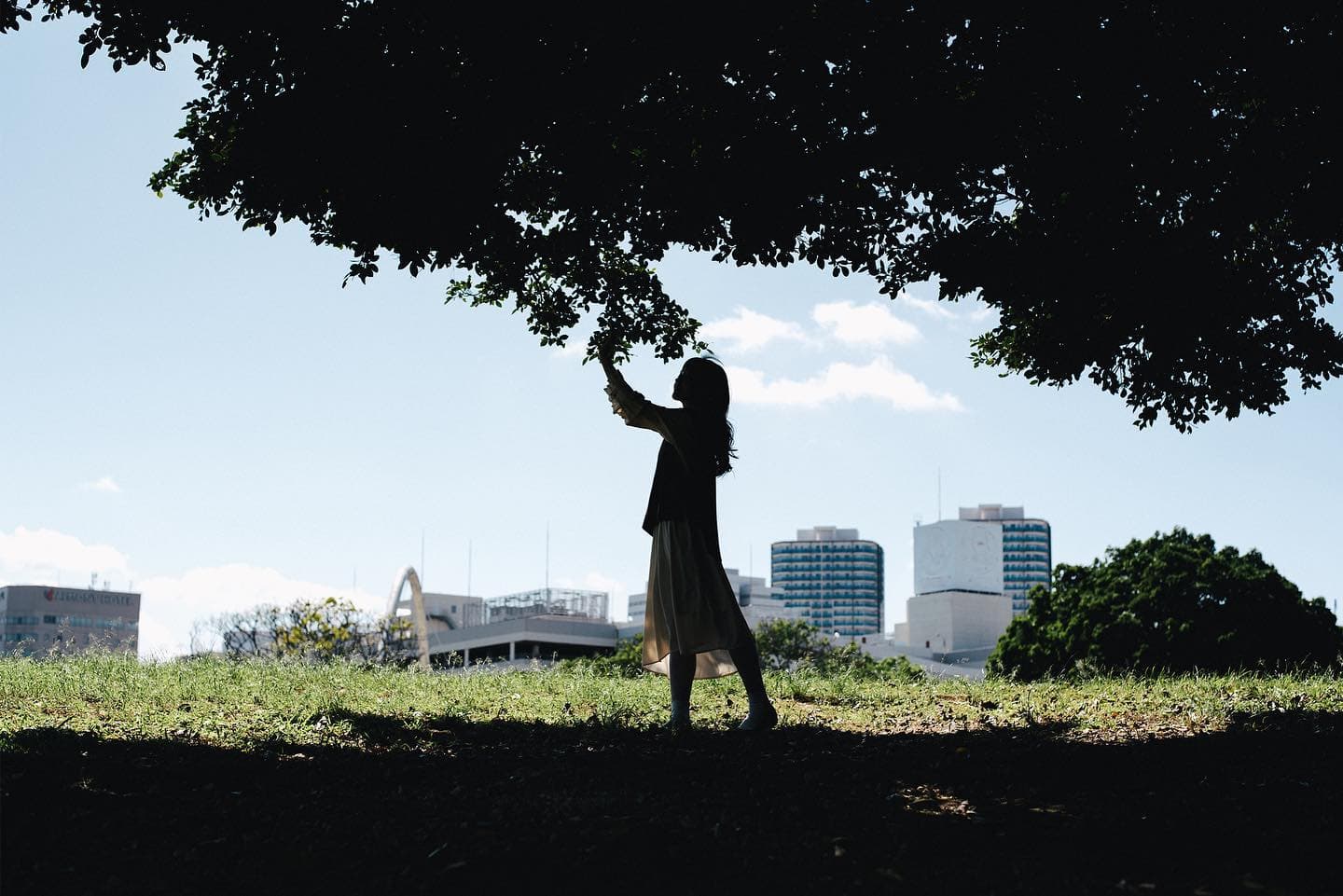 Silhouette of a woman reaching for a tree branch, Okinawa cityscape and blue sky behind