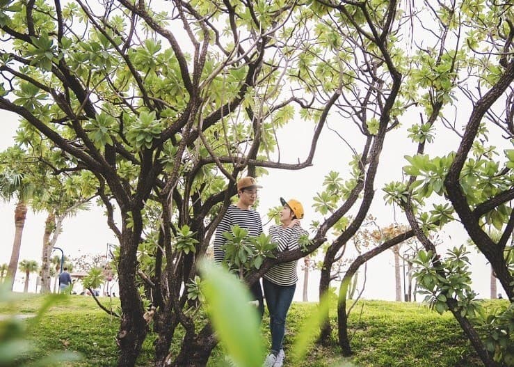 おそろいのボーダーシャツで木々の間に立つカップル、沖縄の公園