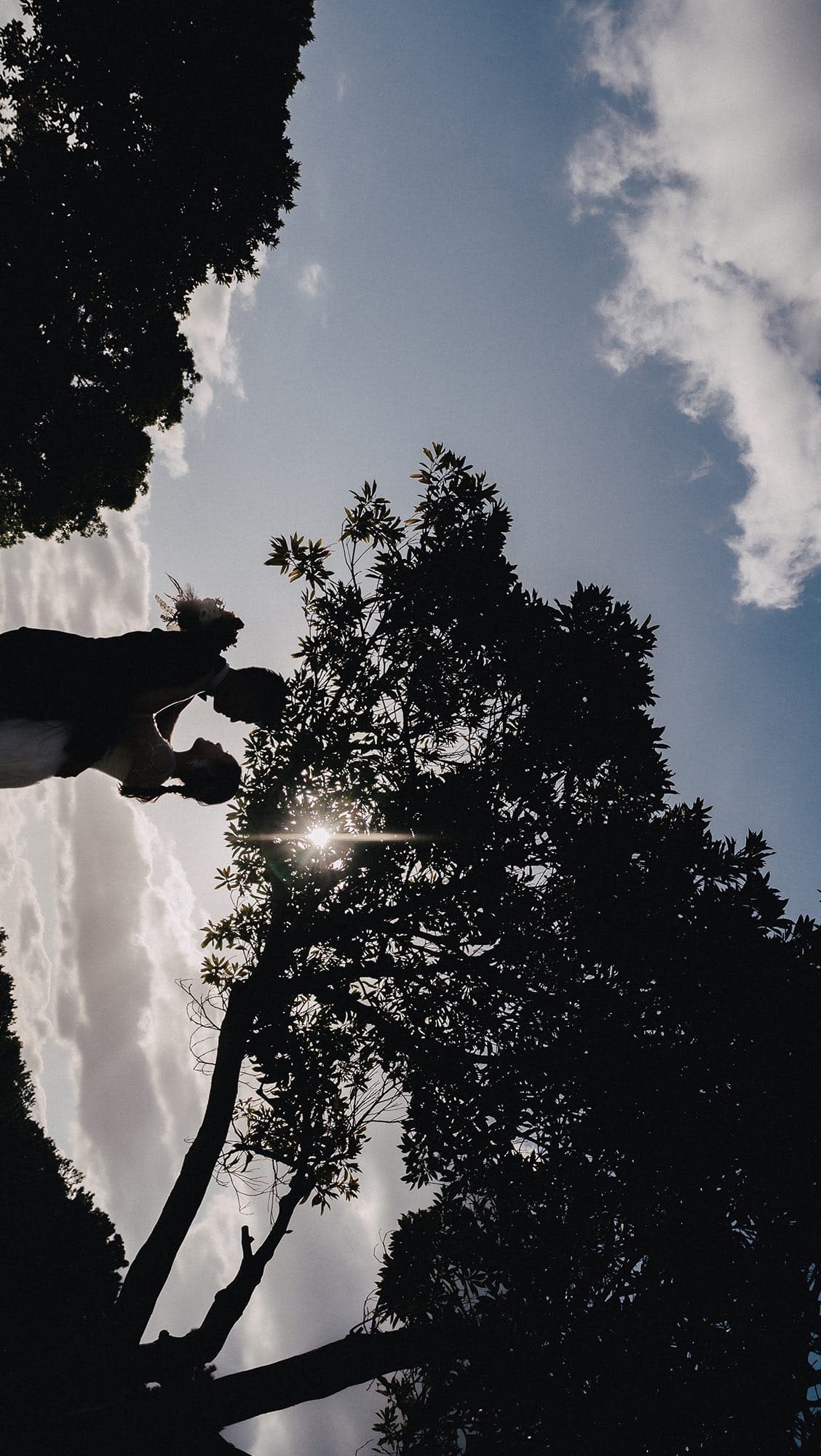 Couple beneath a tall tree silhouetted against the blue sky in Fukuoka