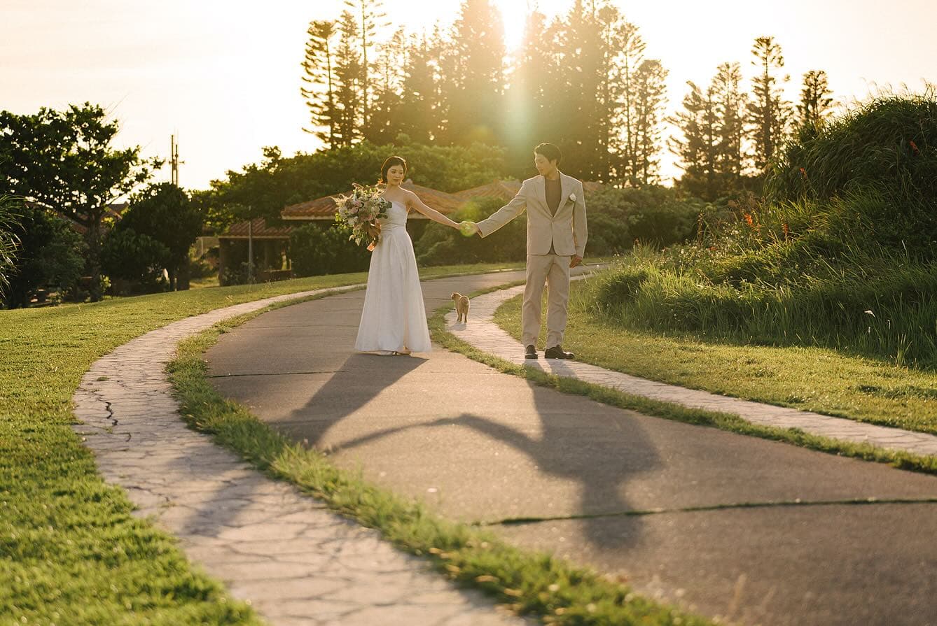 Couple holding hands on a sunset path in Okinawa, a cat nearby