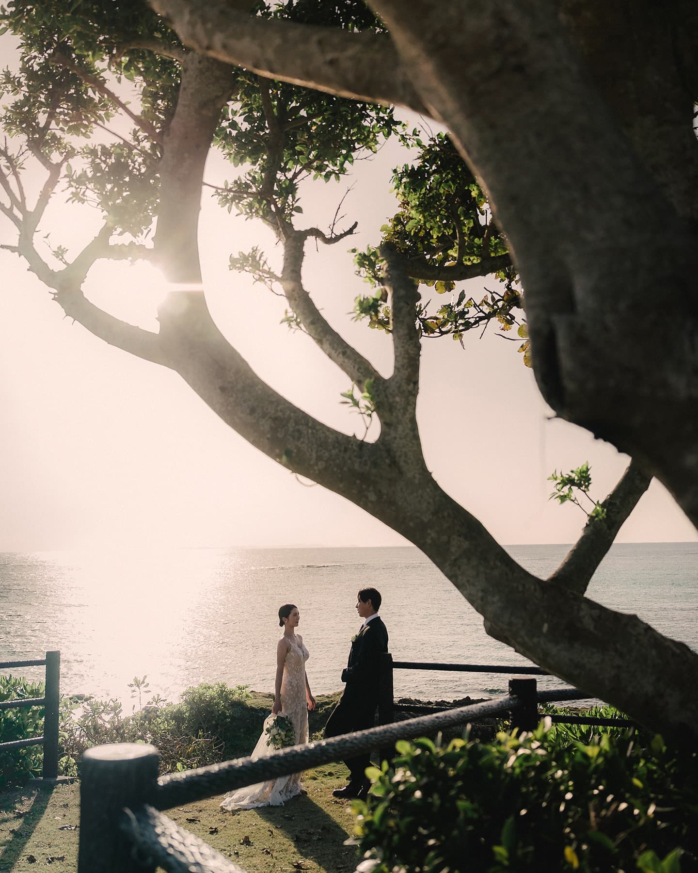 Couple facing each other beneath a seaside tree in soft backlight in Okinawa