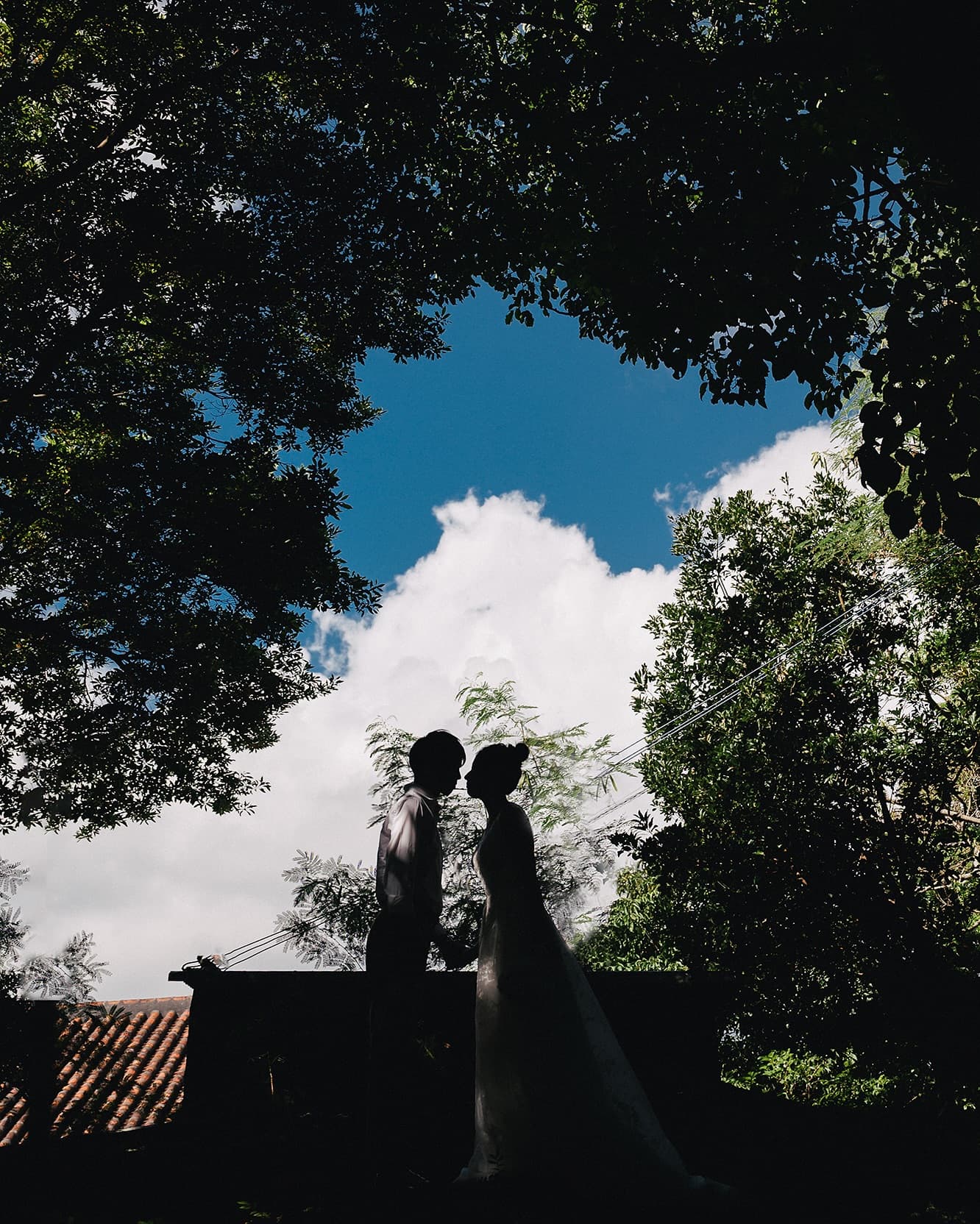 Couple silhouetted between trees against Okinawa's deep blue sky and white cloud