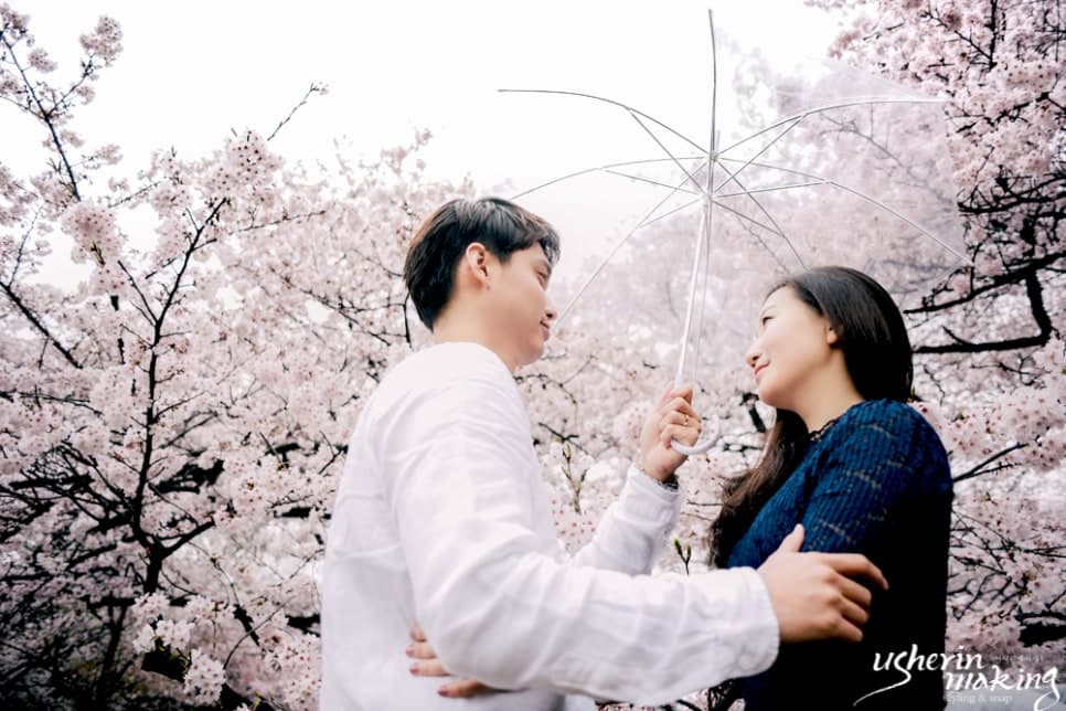 벚꽃:Cherry Blossom 오키나와벚꽃시즌 사진 15