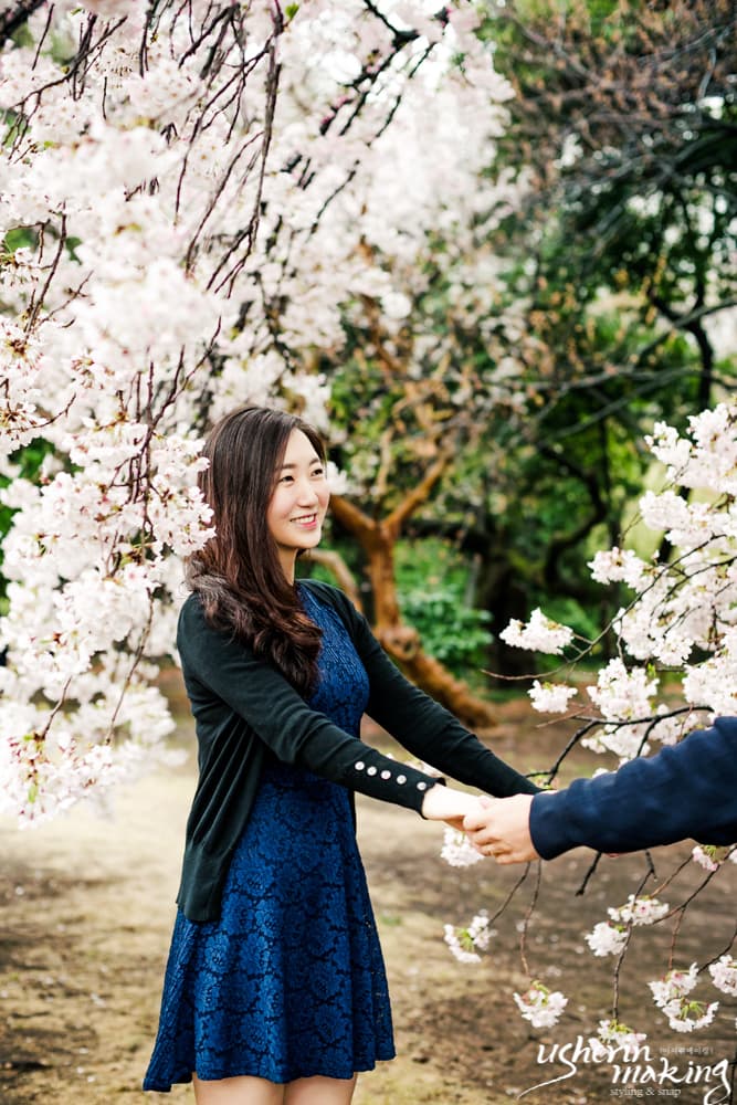 벚꽃:Cherry Blossom 오키나와벚꽃시즌