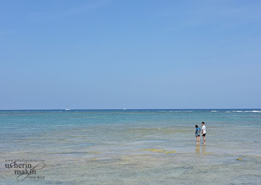 夏:사랑의계절 여름 — 바다의 연인들 사진 1