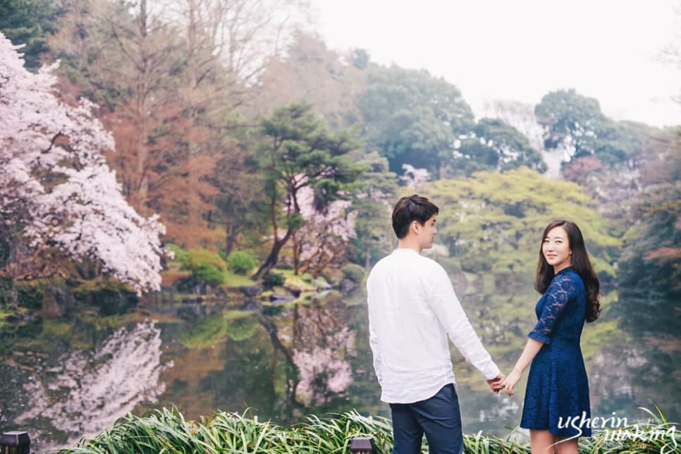벚꽃:Cherry Blossom 오키나와벚꽃시즌 사진 12