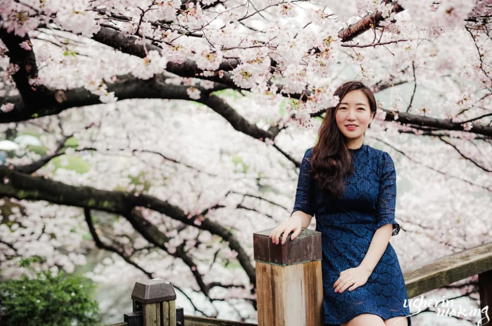 벚꽃:Cherry Blossom 오키나와벚꽃시즌 사진 6