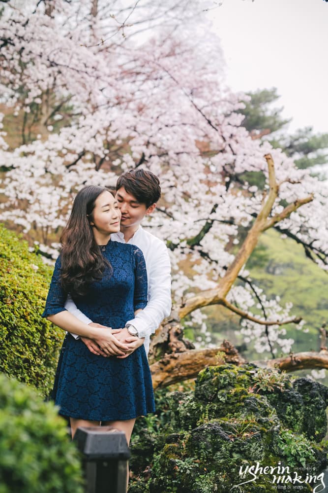 벚꽃:Cherry Blossom 오키나와벚꽃시즌 사진 13