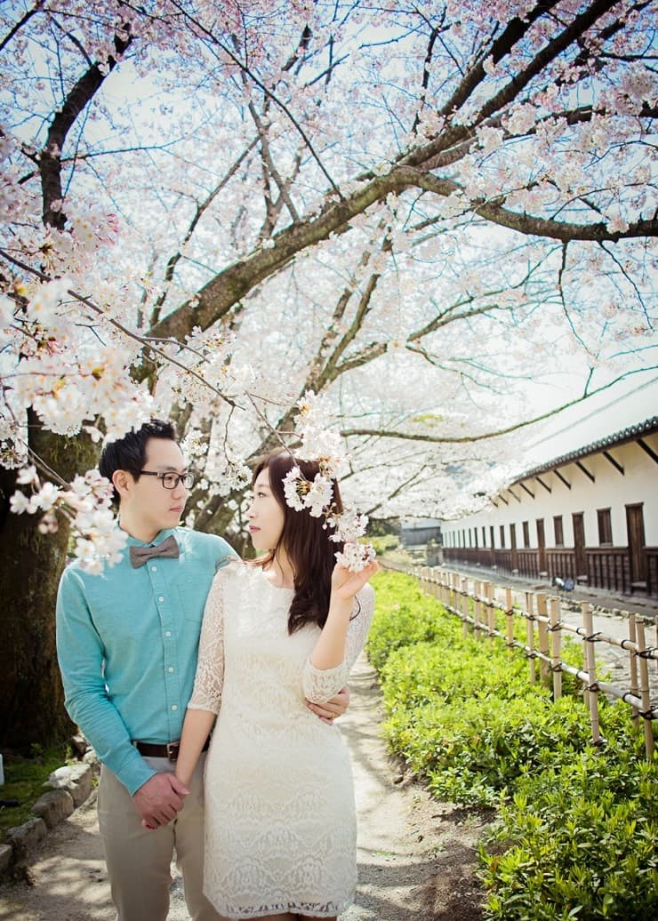 핑크빛 그녀 — 벚꽃축제/하나미/여행스냅.셀프웨딩.커플스냅 사진 2