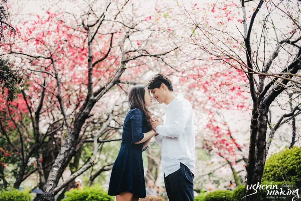 벚꽃:Cherry Blossom 오키나와벚꽃시즌 사진 9