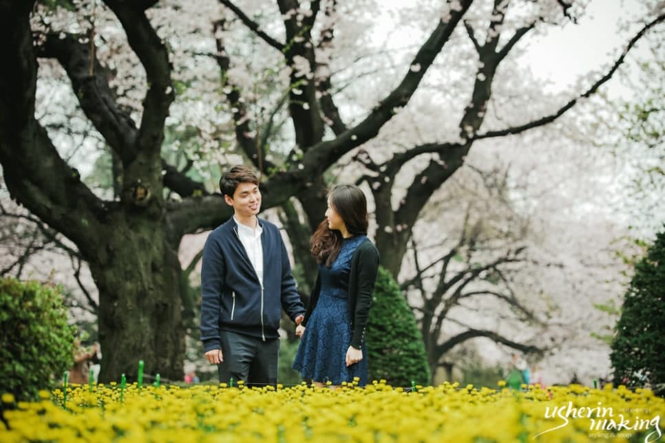 벚꽃:Cherry Blossom 오키나와벚꽃시즌 사진 2