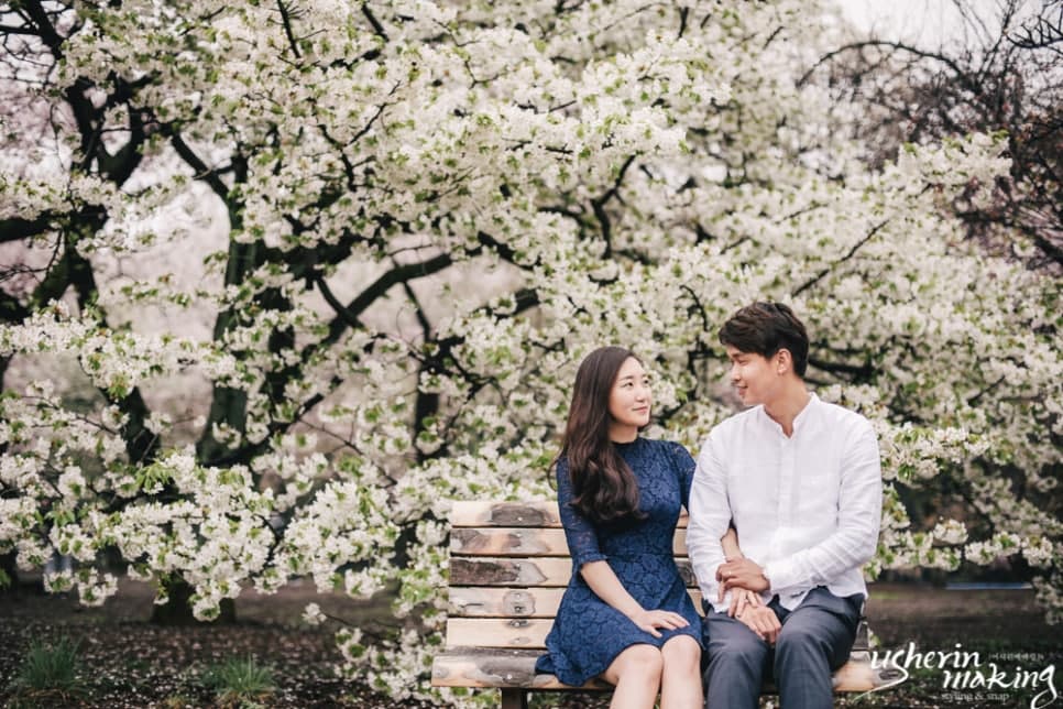 벚꽃:Cherry Blossom 오키나와벚꽃시즌 사진 10