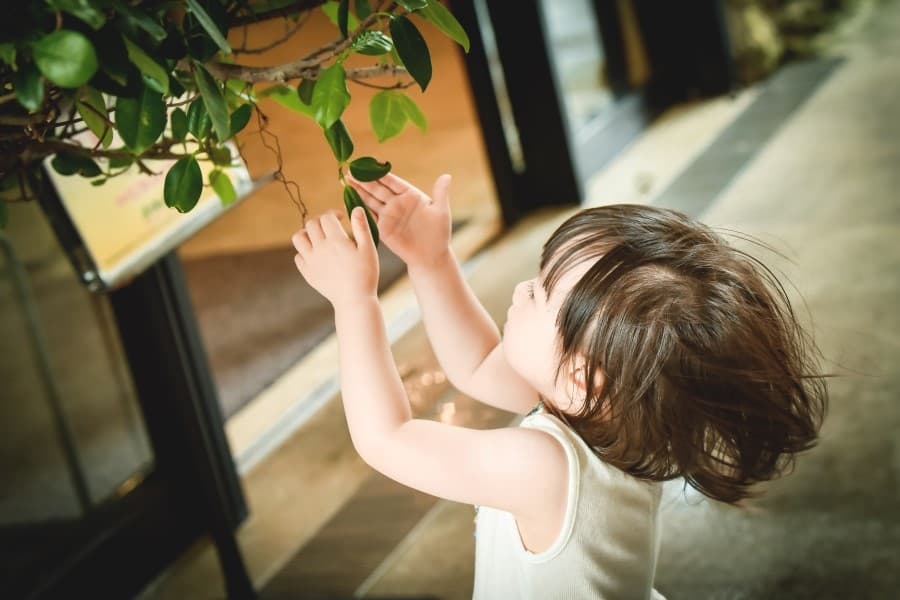 생애 첫 해외여행? — 베이비촬영:일본여행포토에세이 사진 1