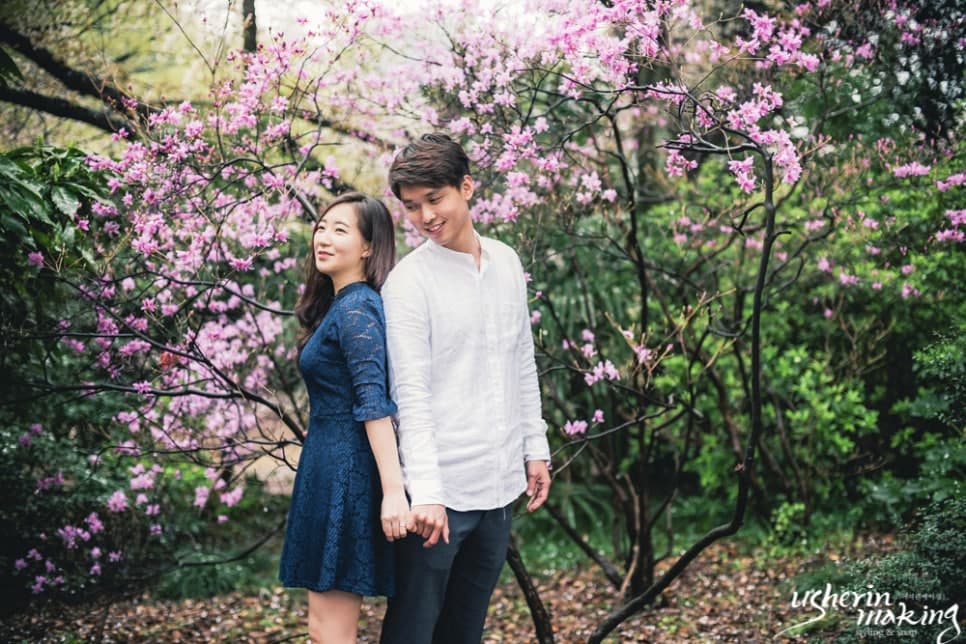 벚꽃:Cherry Blossom 오키나와벚꽃시즌 사진 8